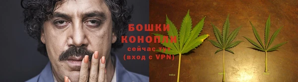 стафф Куртамыш