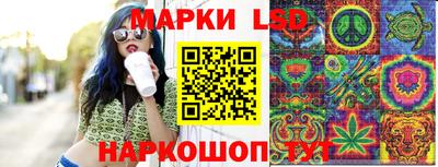 индика Ипатово