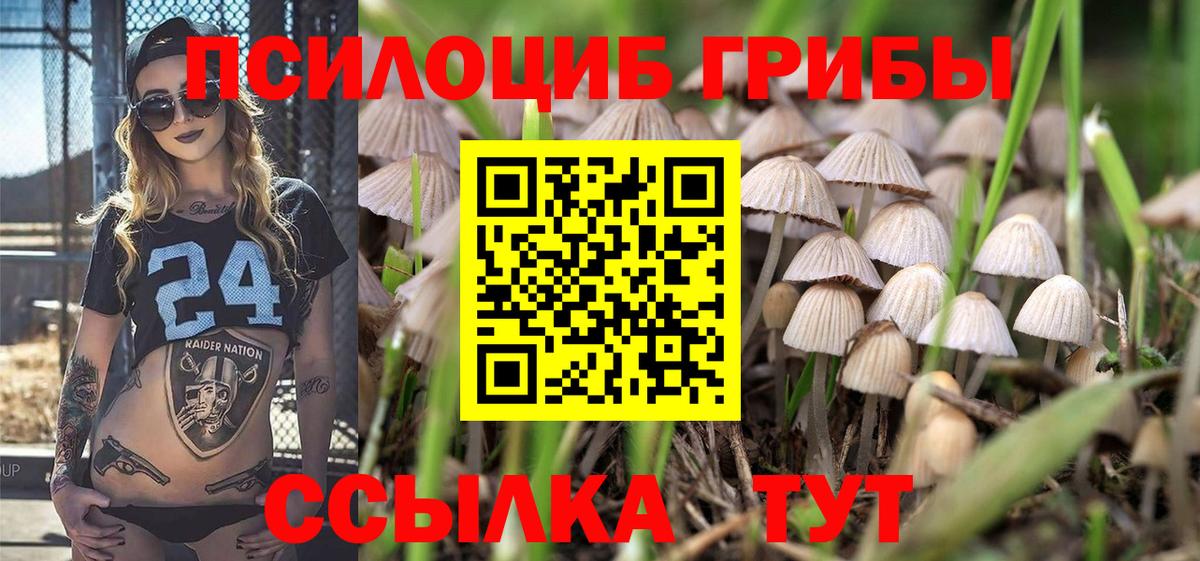 Галлюциногенные грибы Magic Shrooms Омск