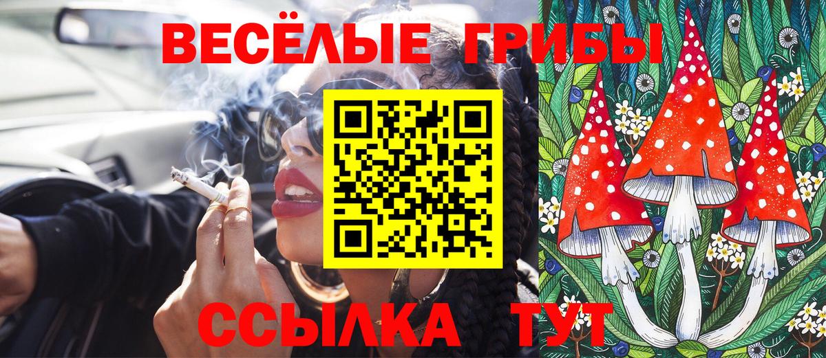 хочу наркоту  Вход с VPN  Омск  Псилоцибиновые грибы Cubensis 